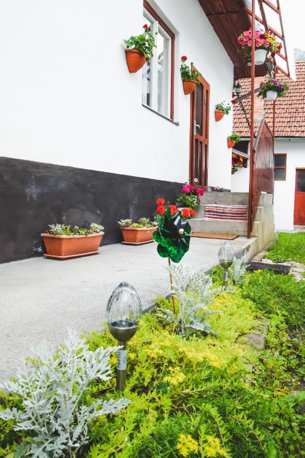 Casa De Vacanta Harsfa Vendeghaz Ріметя Екстер'єр фото