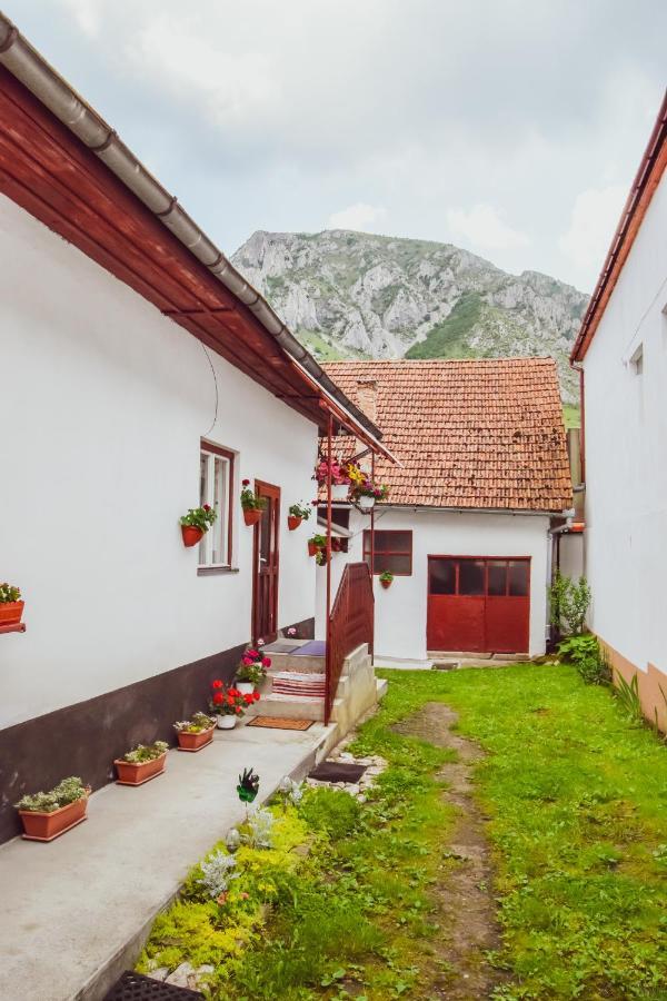 Casa De Vacanta Harsfa Vendeghaz Ріметя Екстер'єр фото