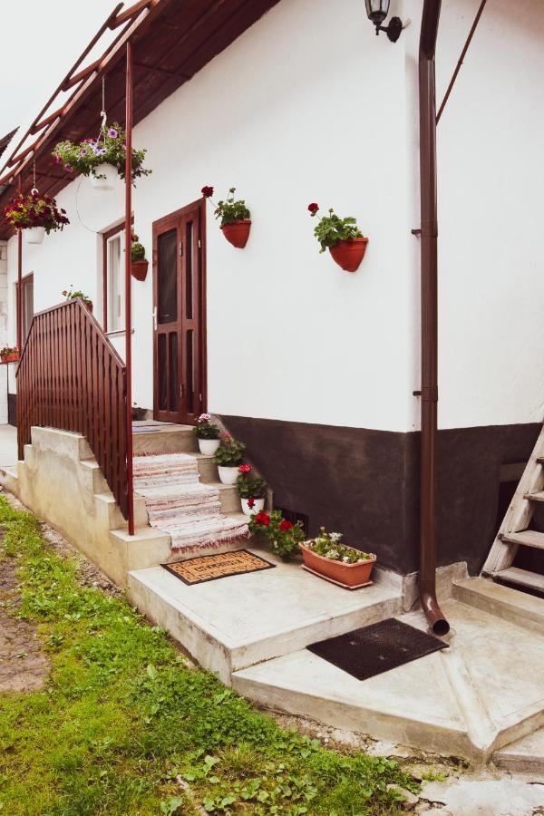 Casa De Vacanta Harsfa Vendeghaz Ріметя Екстер'єр фото